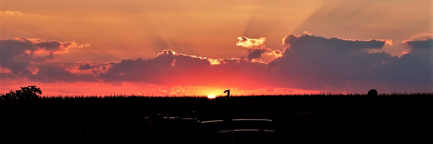 Cynthia Powell banner