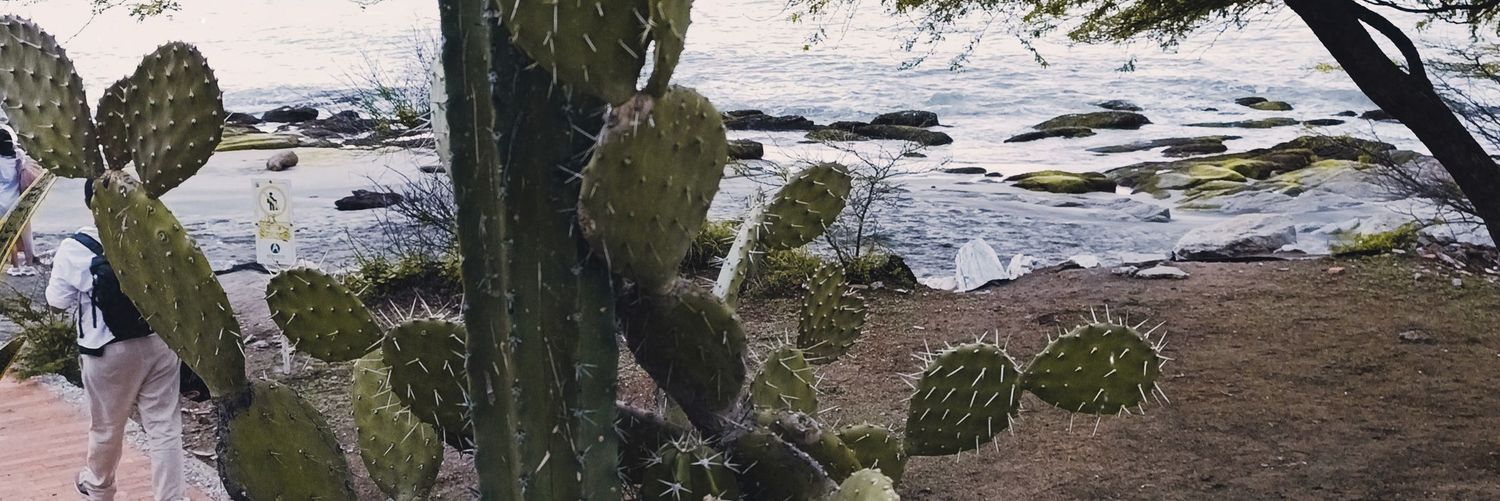 DanyVargasH's profile banner image