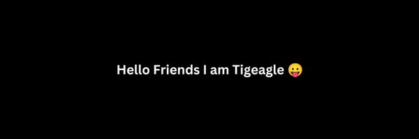 mrtigeagle Profile Banner