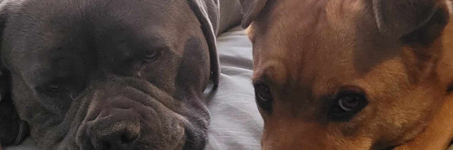 sweetmocha58's profile banner image
