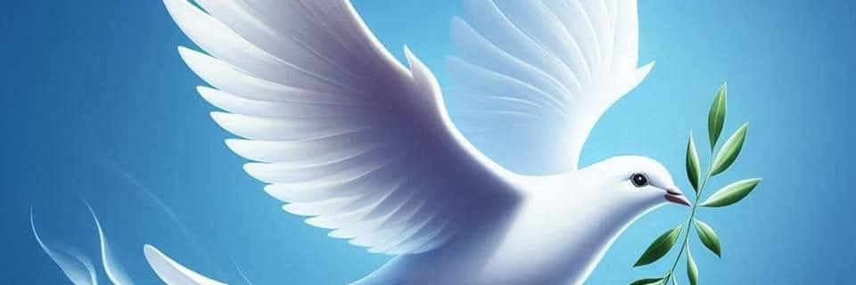 Ines senf@ senf🇩🇪🇷🇺🇺🇸 banner