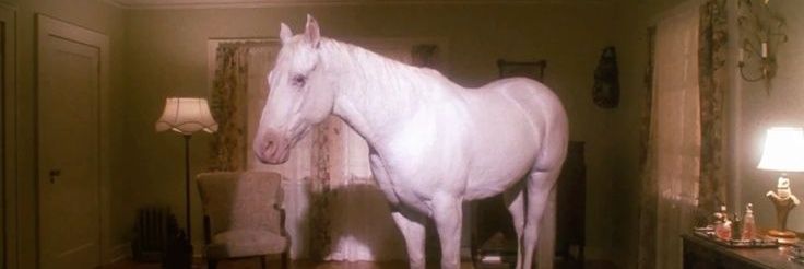 mari ໒꒱ ‧₊˚ banner