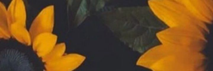 Esthelacs's profile banner image