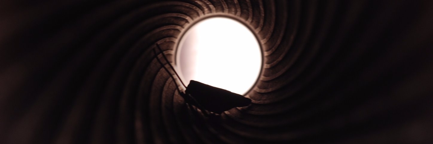 SnakesSnakes's profile banner image