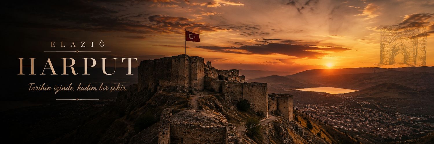 syl_ercan's profile banner image