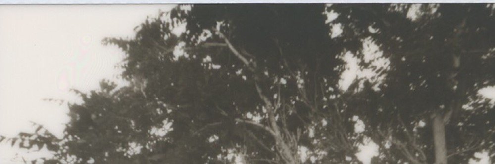 npetranic's profile banner image
