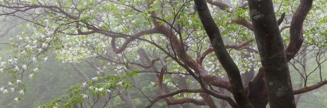 geo ˙⋆✮ is UN1QUE! banner