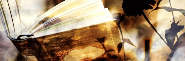 蔦🍉シャドーバン中 banner