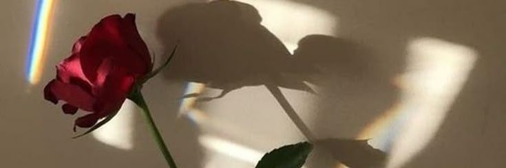 ･ ﾟ*｡ 𓍵 banner