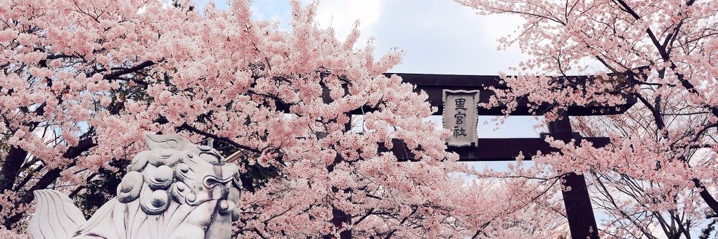 ⚔️ブラッド banner