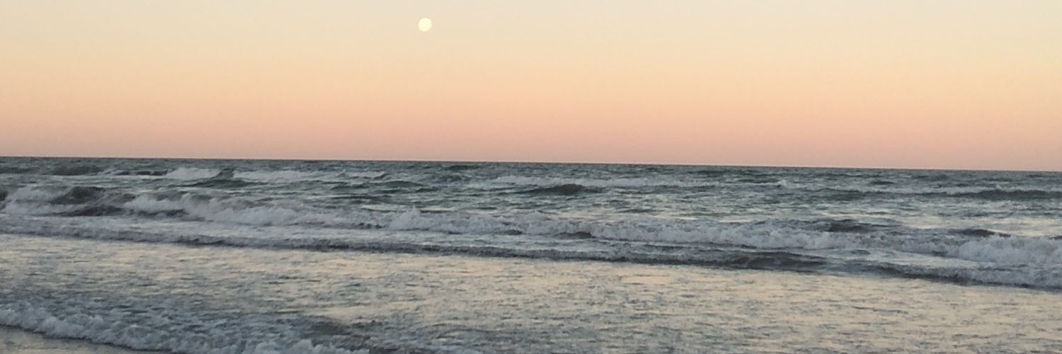 Leaacc's profile banner image