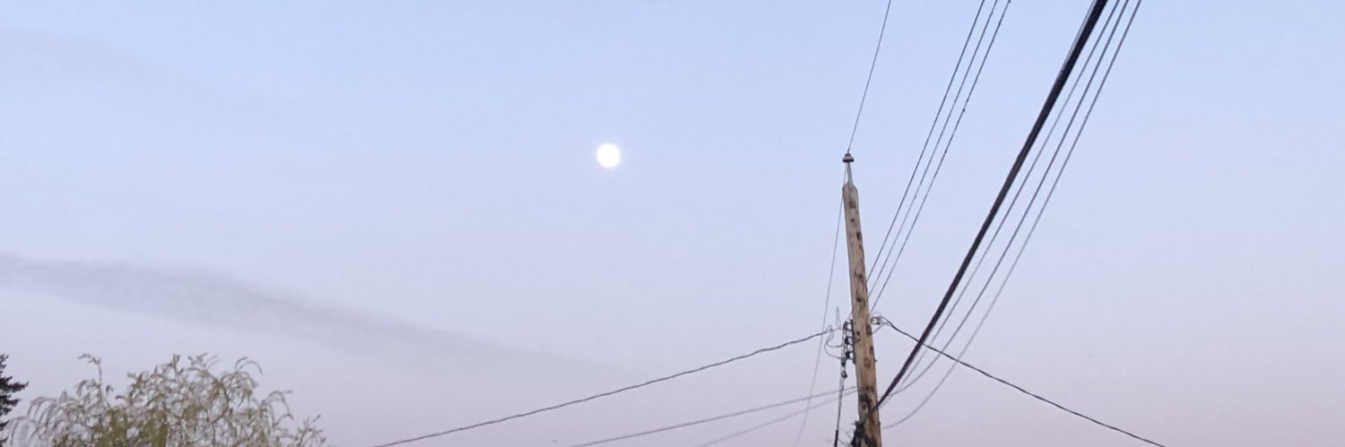 tiananour's profile banner image