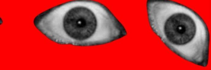 Vitor Gabriel banner