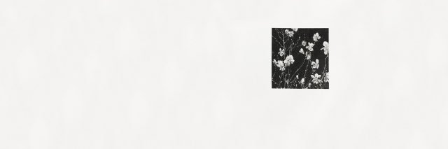 letsgalbiero's profile banner image