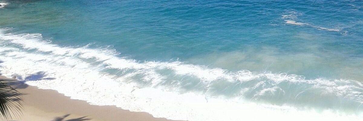 anca_lime's profile banner image