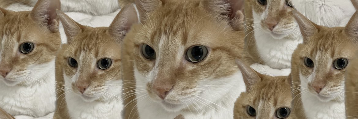 _feloipe's profile banner image