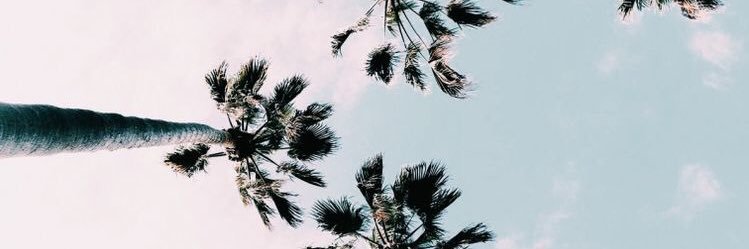 colombalyon's profile banner image