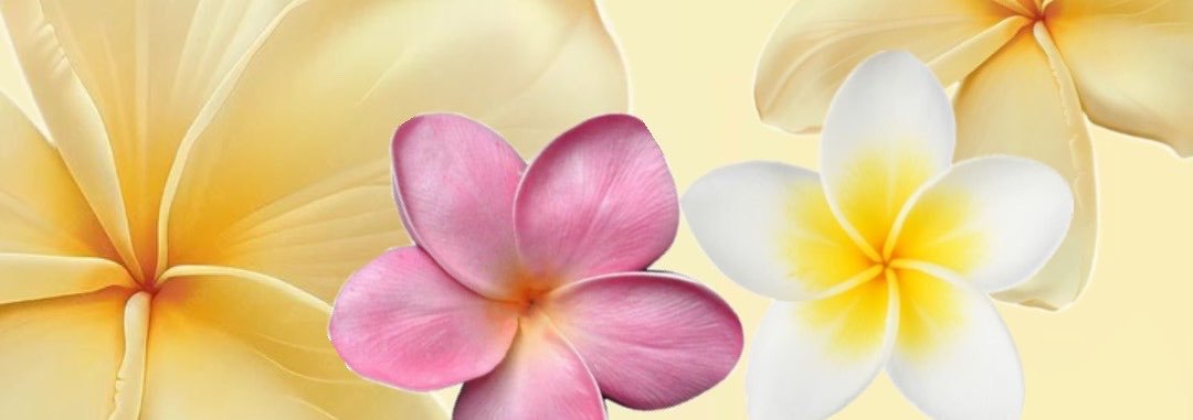 StuartiLiro's profile banner image