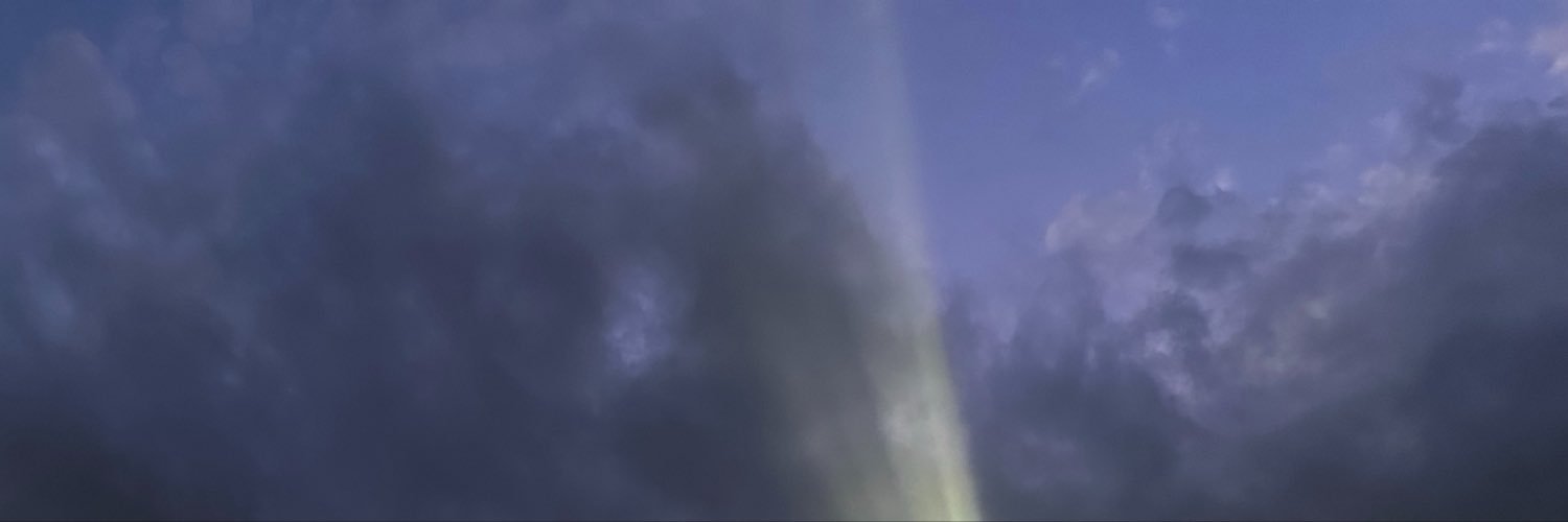 LexGutssoinlove's profile banner image
