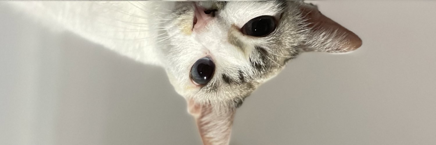 _manowwt's profile banner image