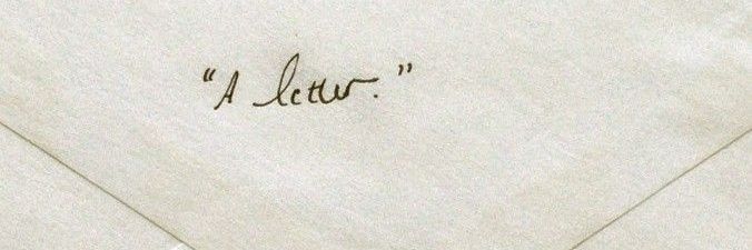 . ⊹ shinely ୨ৎ ˙ banner