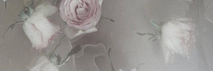 04usi banner