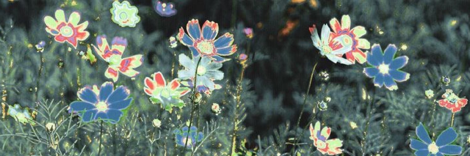 JELLY。𖤐 is on hiatus? banner