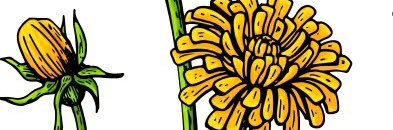 bandcamponetime's profile banner image