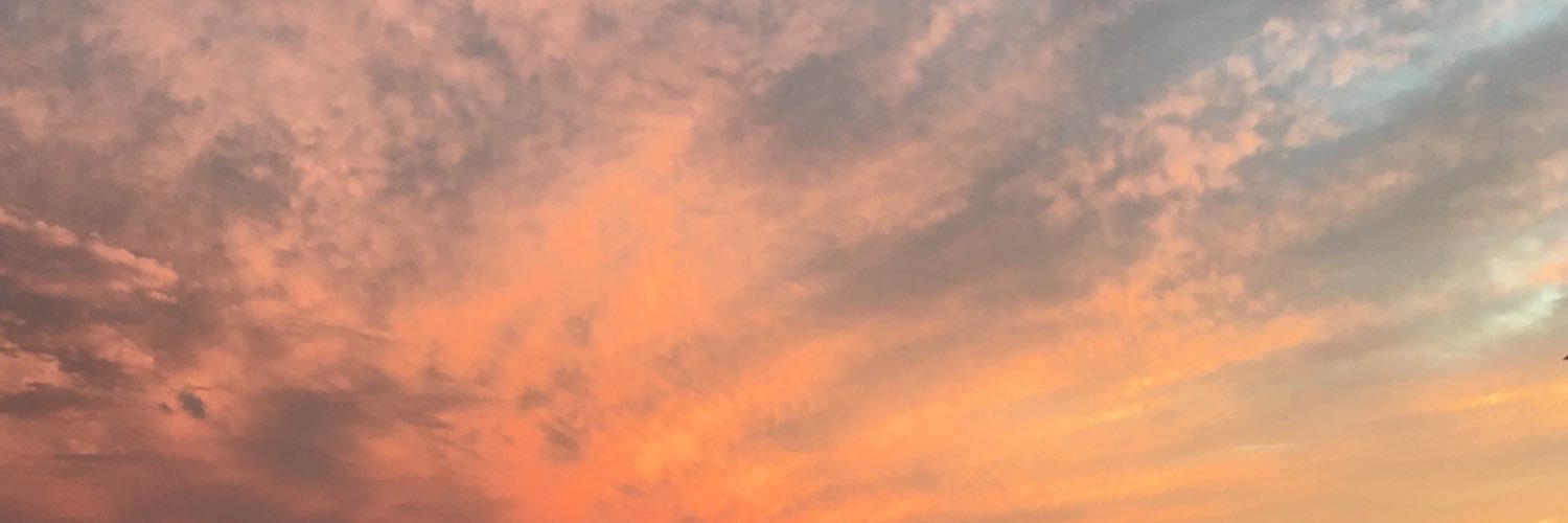 katyverlander's profile banner image
