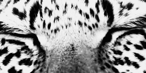 ale1_blanco's profile banner image
