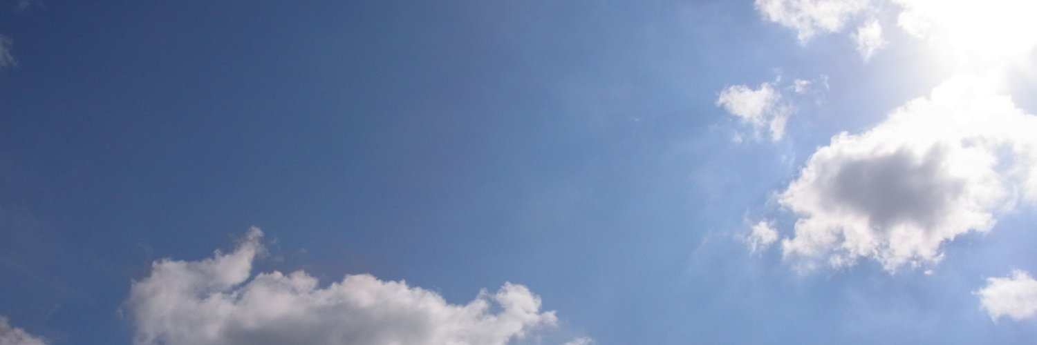 トリッシュ banner