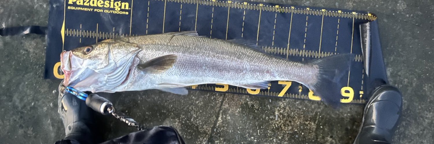 やっとシーバス釣れた🐧ペン助ペンペン banner