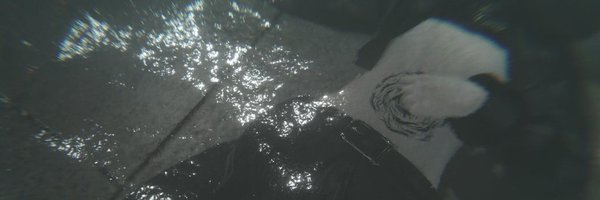 DevilsEngage666 Profile Banner