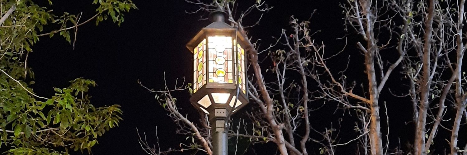Lily_M7's profile banner image