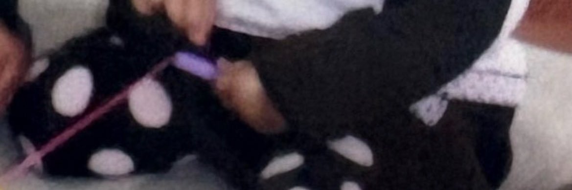shrmp8o_'s profile banner image