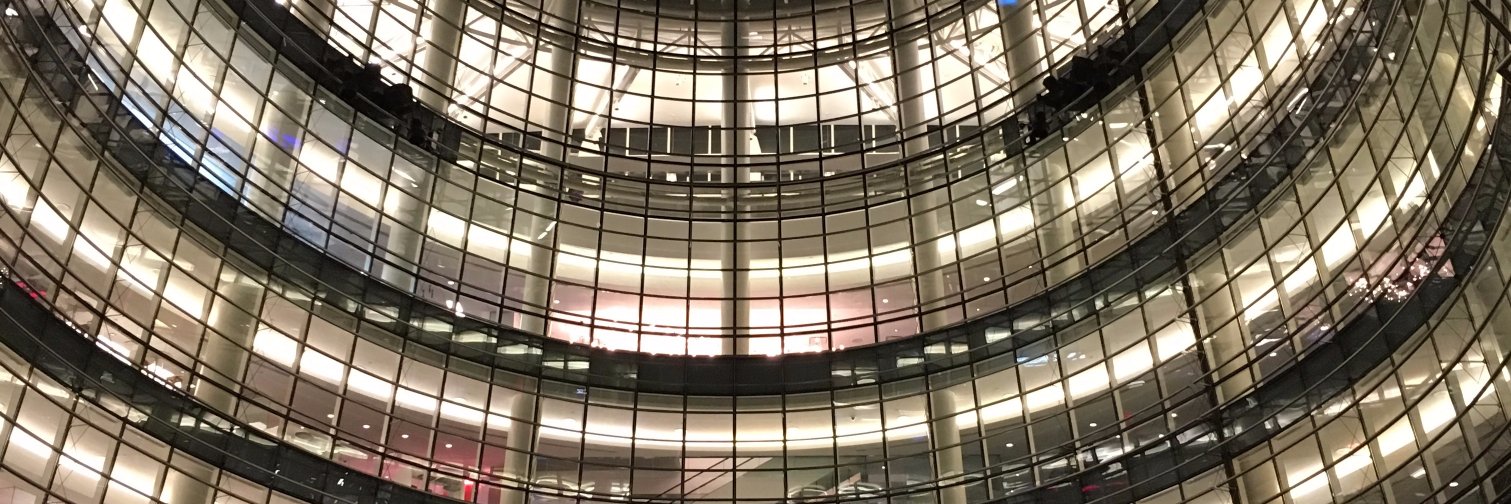 Cecile Vannucci banner