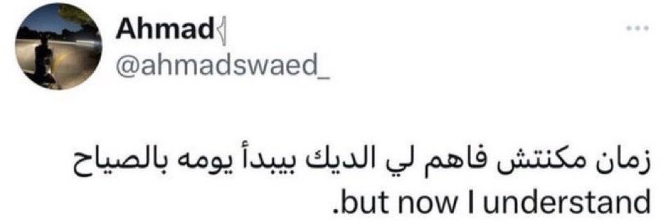 ｲﾑムん尺乇乇り banner