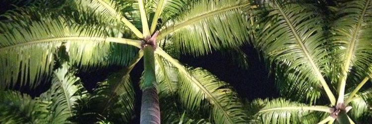 queentaanaa's profile banner image