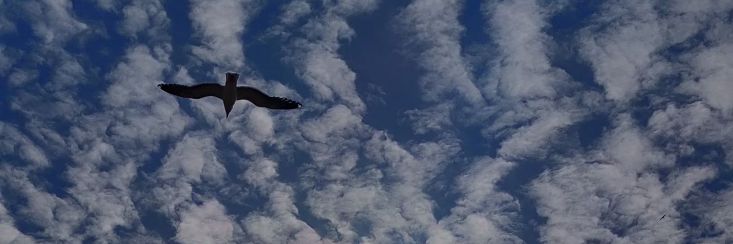 pmt_89's profile banner image