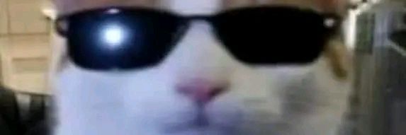 JerichoZaiko's profile banner image