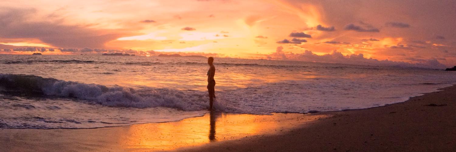 annalieselily's profile banner image