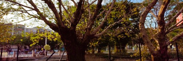 ynhu499830 Profile Banner