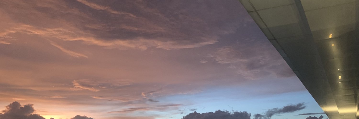 aneupyo's profile banner image