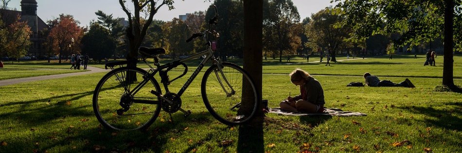 Comparative Studies OSU banner