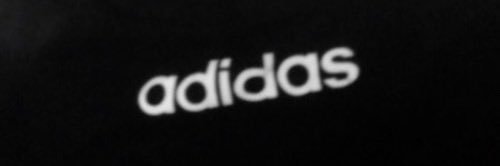 haley tommo's banner
