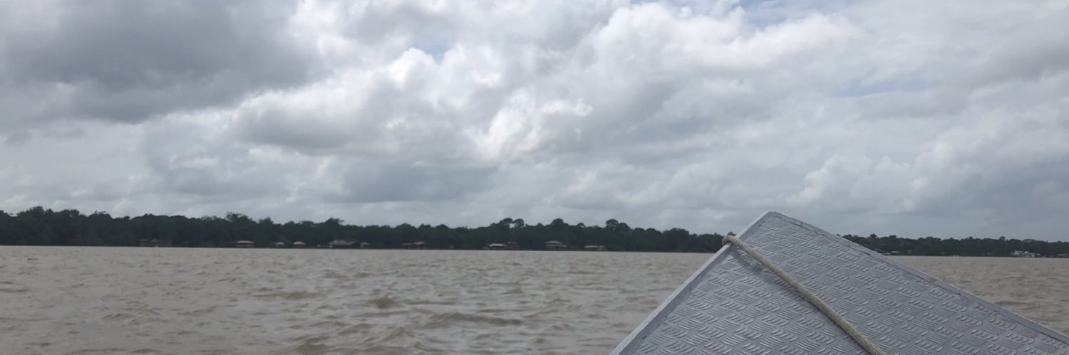 ariannedecastro's profile banner image