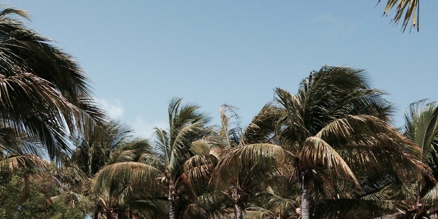 Tawnyas6's profile banner image
