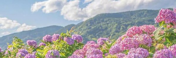 hathun835 Profile Banner