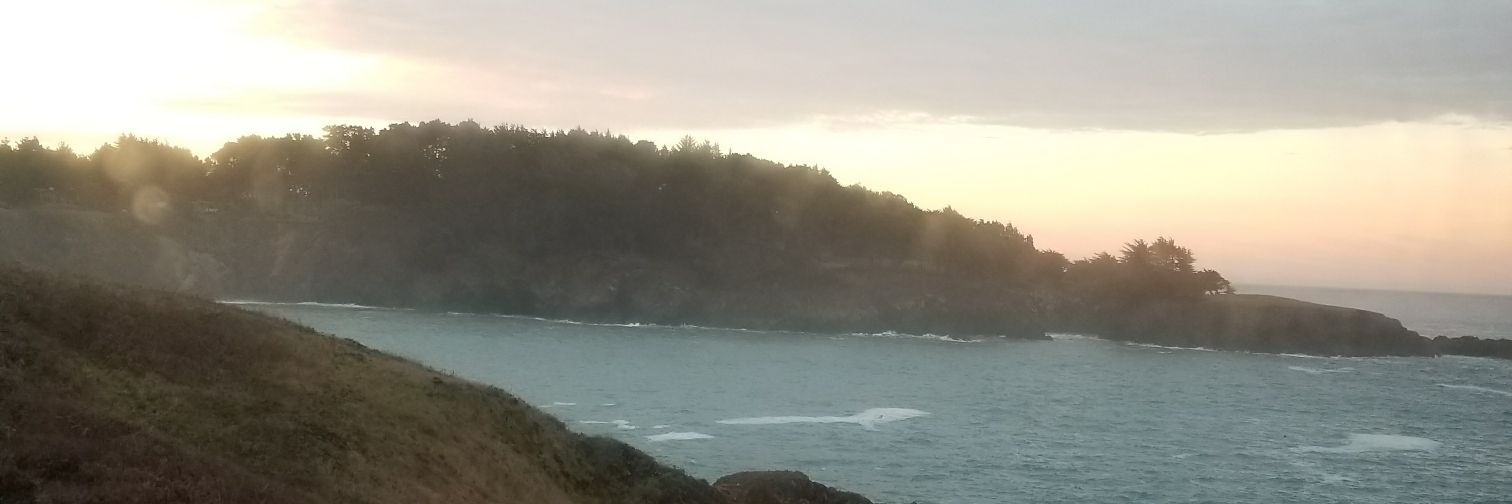 MicholEstrada's profile banner image