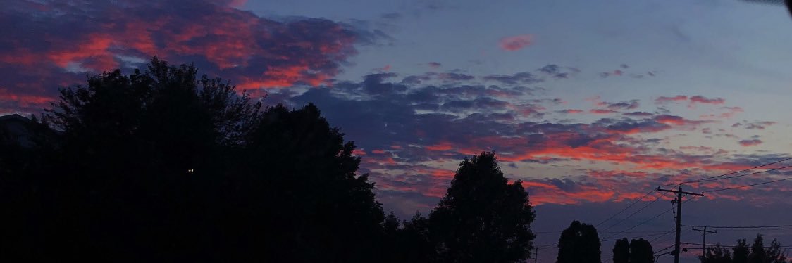 jesse call banner